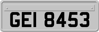 GEI8453