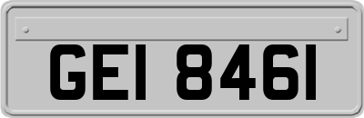 GEI8461