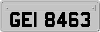 GEI8463
