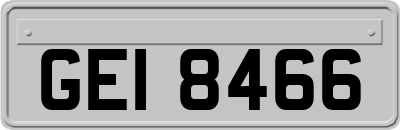 GEI8466