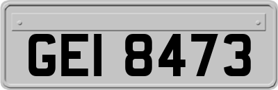 GEI8473