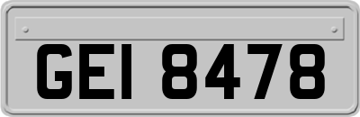 GEI8478