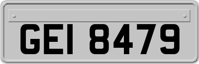 GEI8479