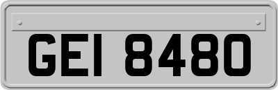 GEI8480