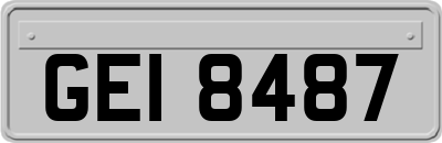 GEI8487