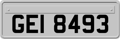 GEI8493