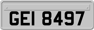 GEI8497