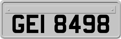 GEI8498