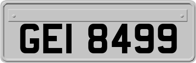GEI8499