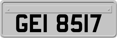GEI8517