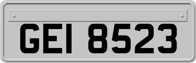 GEI8523