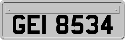 GEI8534