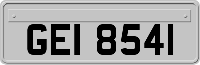 GEI8541