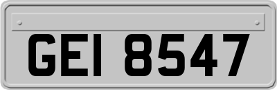 GEI8547