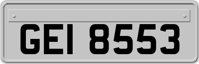 GEI8553