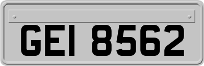 GEI8562