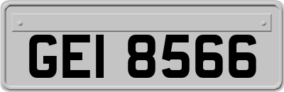 GEI8566