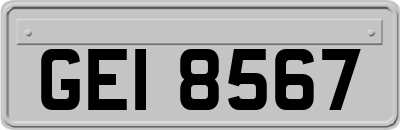 GEI8567