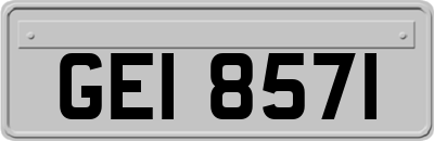 GEI8571