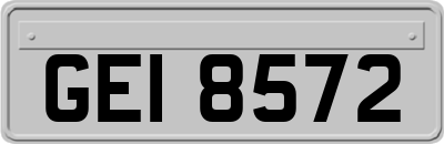 GEI8572
