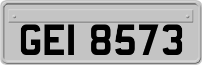 GEI8573