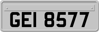 GEI8577