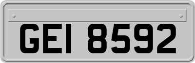 GEI8592