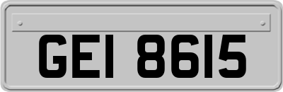 GEI8615