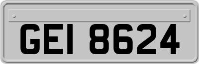 GEI8624