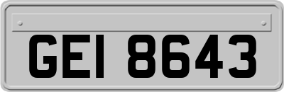 GEI8643