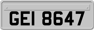 GEI8647