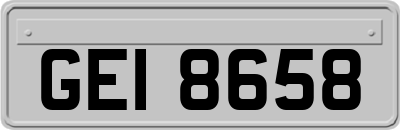 GEI8658