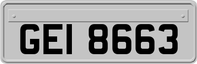 GEI8663
