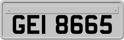 GEI8665