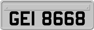 GEI8668