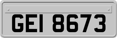GEI8673