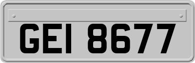 GEI8677