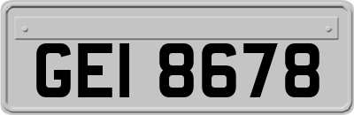 GEI8678