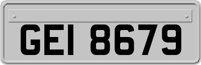 GEI8679