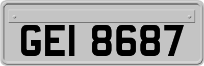 GEI8687
