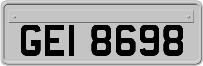 GEI8698
