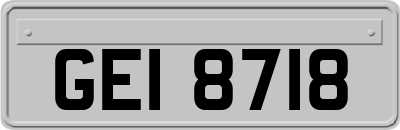 GEI8718
