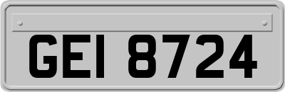 GEI8724