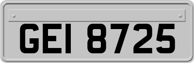GEI8725