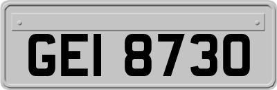 GEI8730
