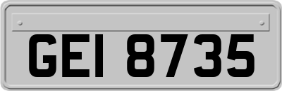 GEI8735