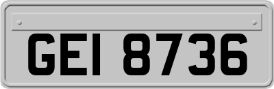 GEI8736