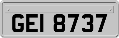 GEI8737