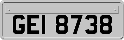 GEI8738