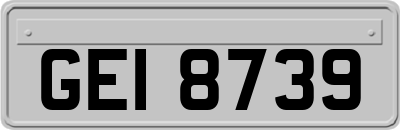 GEI8739